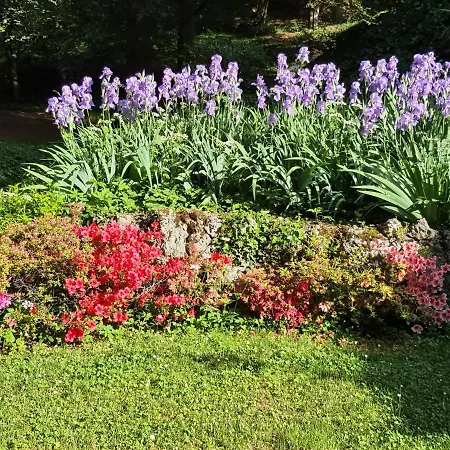 Bed & Breakfast Sant'anna Bergamo